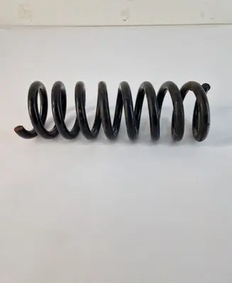 Rear coil spring