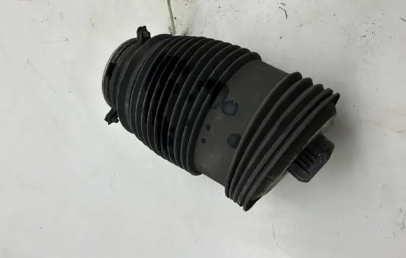 Mercedes-Benz C W205 Rear air suspension bag/shock absorber A2053200725 ZGS002