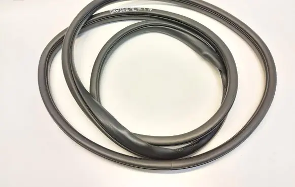 Ford Ranger IV Front door rubber seal FORRANUSZ4924056