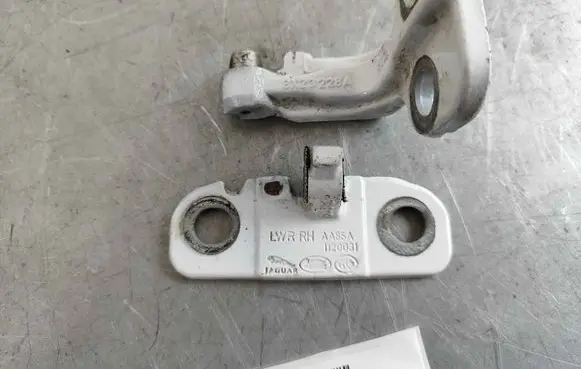 Rear door lower hinge