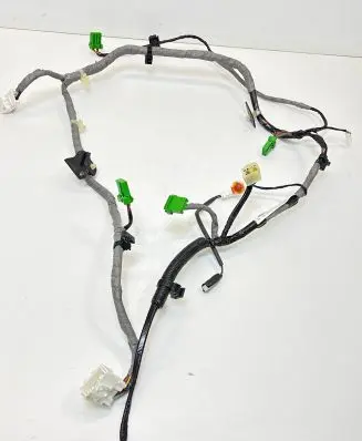 Front door wiring loom