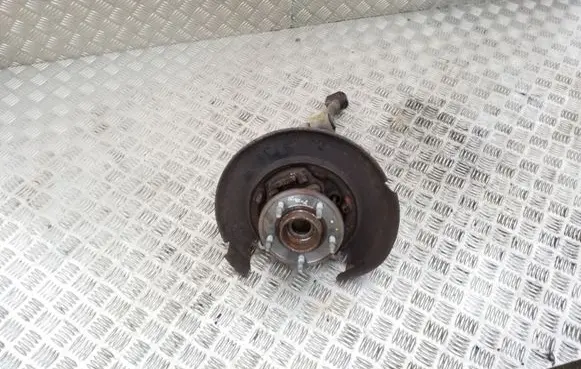 Chevrolet Captiva Rear wheel hub CK21000400L