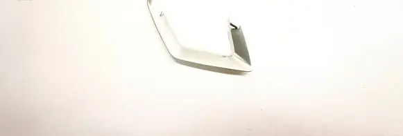 Other front door trim element
