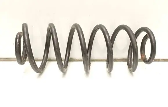 Rear coil spring
