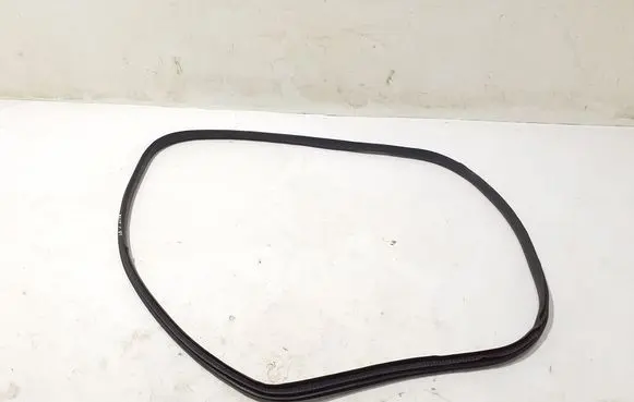 Renault 5 E-Tech Front door rubber seal 769216924R