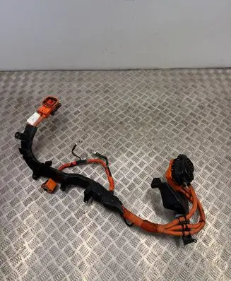 Ford Mustang Mach-E Other wiring loom LJ9814B308FK