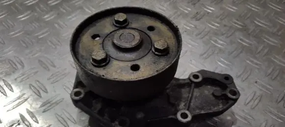 Renault 19 Water pump