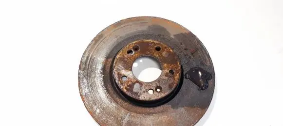 Hyundai Santa Fe Front brake disc ventiliuojamas