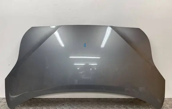 Engine bonnet/hood