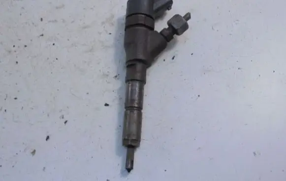 Citroen Xsara Picasso Fuel injector 9653594280
