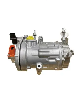 Ford Mustang Mach-E Air conditioning (A/C) compressor (pump) LJ9H19D623AB 12D00182 0424001000