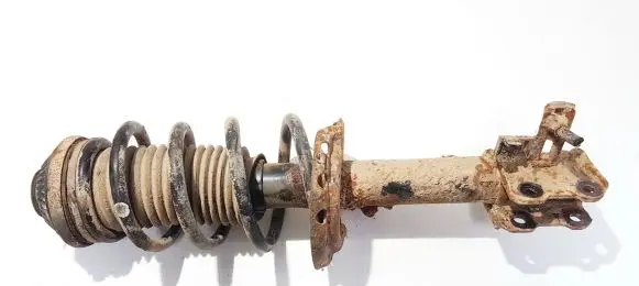 Opel Zafira B Front shock absorber/damper 22214013 24466547