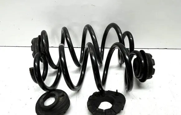 Nissan Qashqai Rear coil spring