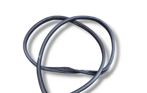 Mercedes-Benz R W251 Front door rubber seal A2516900076