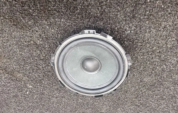 Panel speaker