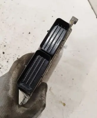 Engine control unit/module ECU