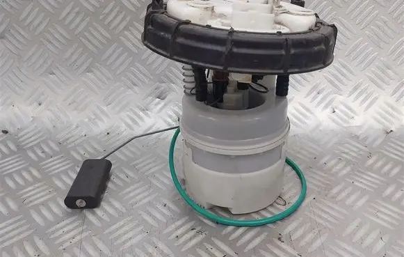 Citroen C5 In-tank fuel pump TTP53802
