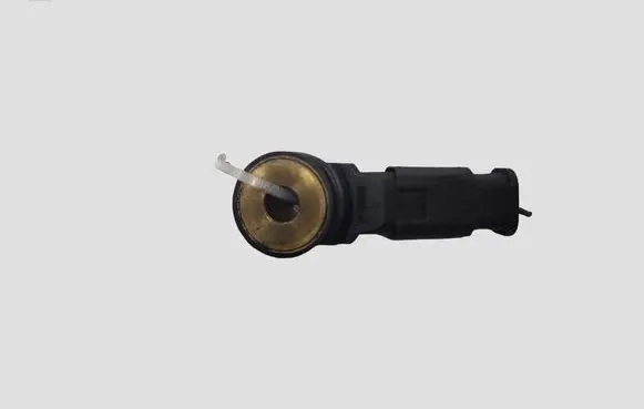 Volvo V40 Detonation knock sensor 0261231197