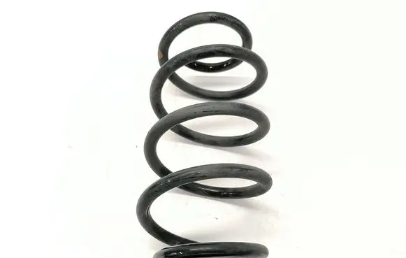 Rear coil spring