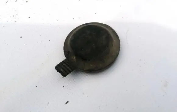 Headlight/headlamp dust cover