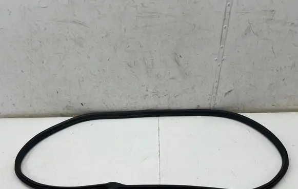 Ford Ecosport Rear door rubber seal (on body) GN15N24754CB