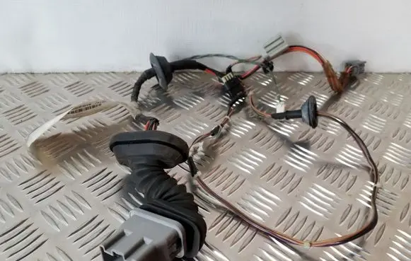 Rear door wiring loom