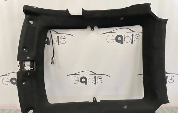 Tesla Model S Headlining AG161032BK 110601602D NG001544BK