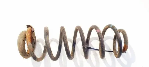 Rear coil spring