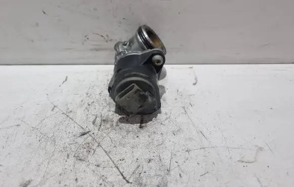 EGR valve