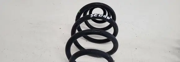 Rear coil spring