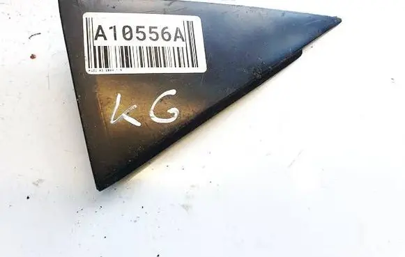 Other rear door trim element