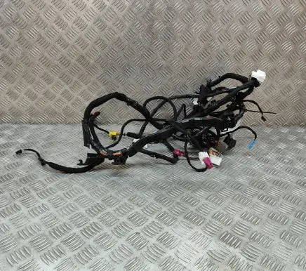 Tesla Model 3 Other wiring loom 421769002A