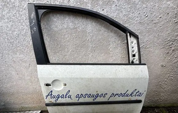 Front door