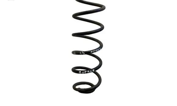 Rear coil spring