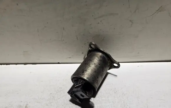 EGR valve