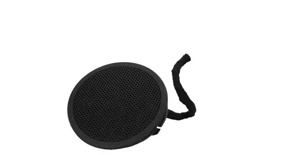 Panel speaker