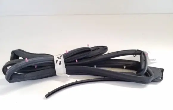 Nissan Juke I F15 Rubber seal rear door 