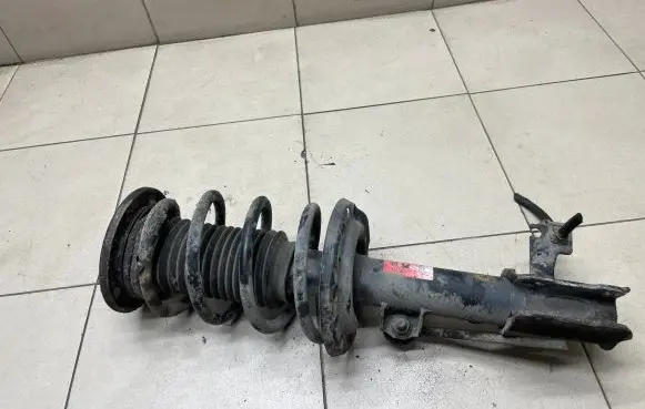 Opel Signum Front shock absorber with coil spring 334618
