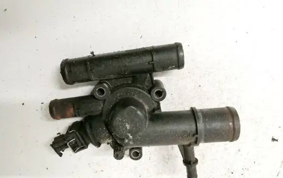Renault Laguna II Engine coolant pipe/hose v700989c