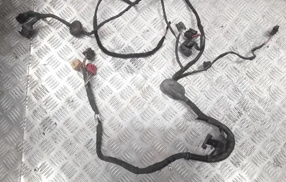 Volkswagen Phaeton Front door wiring loom 3D0971615