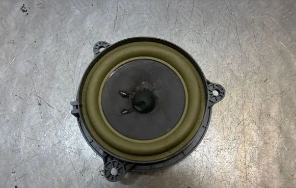 Renault Scenic IV - Grand scenic IV Rear door speaker 281445901R