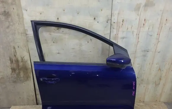 Volkswagen Polo V 6R Front door 