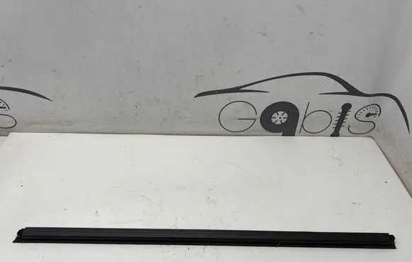 Dodge RAM Rubber seal front door window/glass 68359296