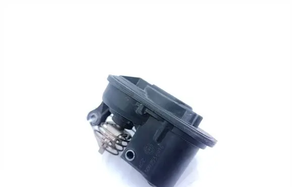 Volkswagen Transporter - Caravelle T6 Intake manifold valve actuator/motor 2399519X 23336055925 2419521X