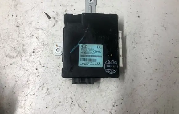 KIA Sorento Other control units/modules 954003E300