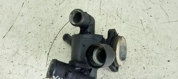 Volkswagen PASSAT B6 Thermostat 