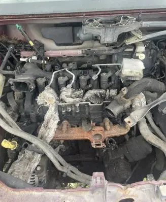 Ford Focus C-MAX Engine G8DA