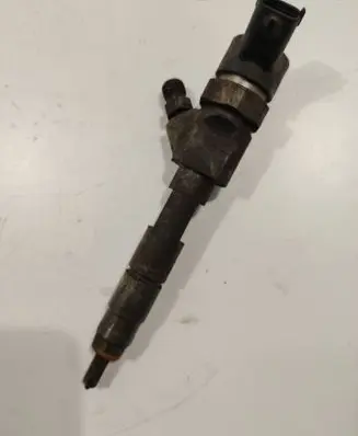 Renault Laguna II Fuel injector 0445110110B