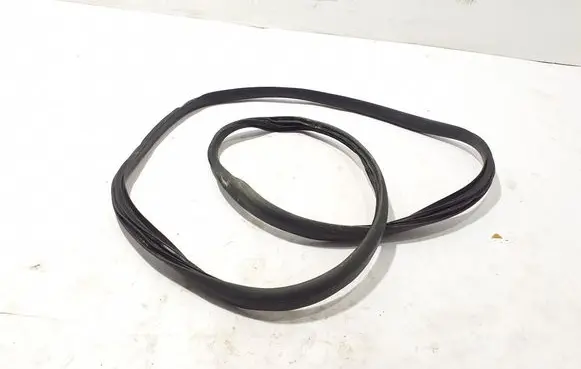 Rear door rubber seal (on body)