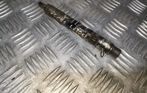 Renault Kangoo I Fuel injector EJBR01701Z 8200207935 8200049876